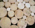 Baldosas de madera 500 x 500 mm