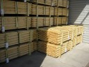 Treestake 50 x 1200 mm