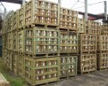 Logrolls, green 75 x 150 x 1800 mm