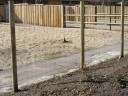 Deer fence 100 x 2100 mm