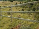 Road fence 80 x 2500 mm