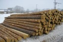 Männi peenpalk 13-18 cm 4,0; 5,0 m (+ ülemõõt 10 cm)