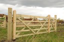 Gates 3660 mm x 1200 mm