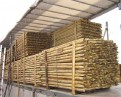 Istutuspost 60-80x2250 mm