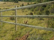 Horse fence with 3 rails 80 x 2500 mm