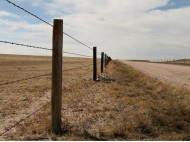 Recinzioni per agricoltura