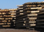 Utility poles